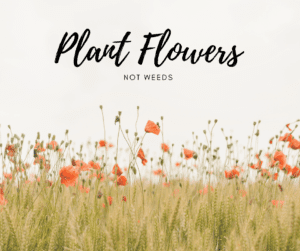 Plant Flowers, not weeds graphic